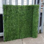 ConiferHedgeGardenFencePrivacyScreening -1.5mx3m