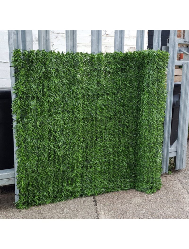 ConiferHedgeGardenFencePrivacyScreening -1.5mx3m