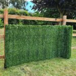 ConiferHedgeGardenFencePrivacyScreening -1.5mx3m