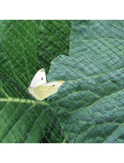 DurableAntiButterflyNetting -2mor4mWidebytheMETRE