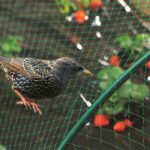 GreenUVStabilisedAntiBirdPondGardenNetting