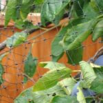 Fruit &CageProtectionNettingMesh